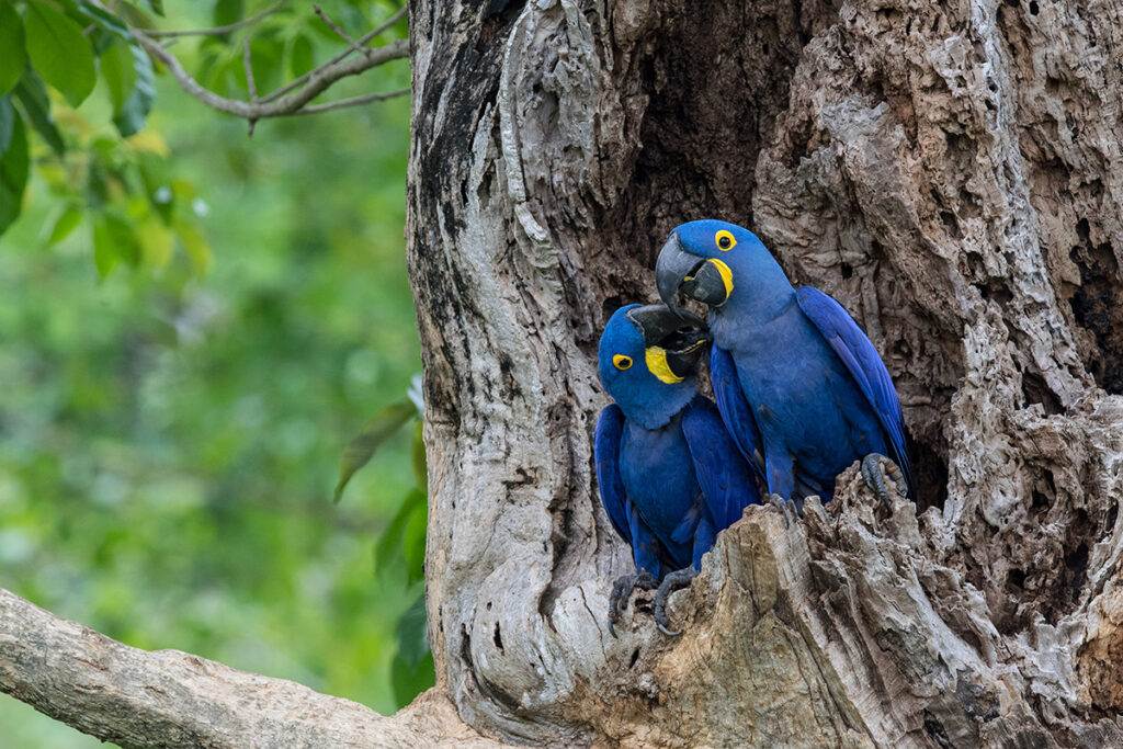 Guilty as charged: Why construction is in the dock over emissions